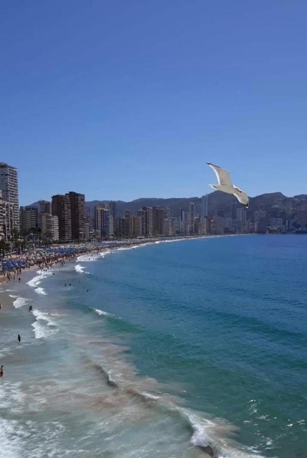 San Remo Levante Beach Apartments Benidorm Dış mekan fotoğraf
